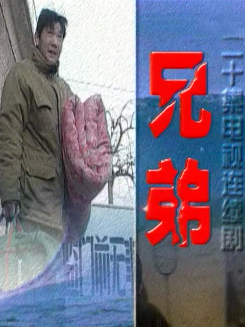 兄弟海报