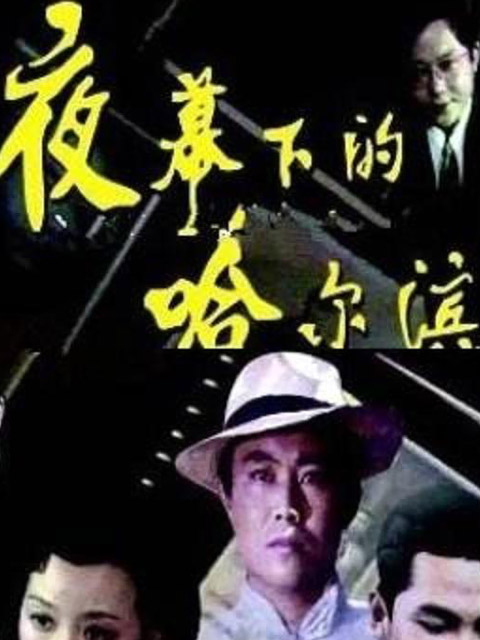 夜幕下的哈尔滨海报
