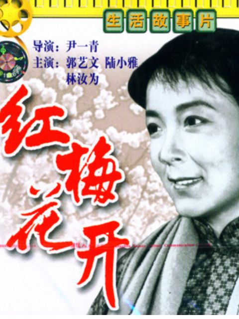 红梅花开海报