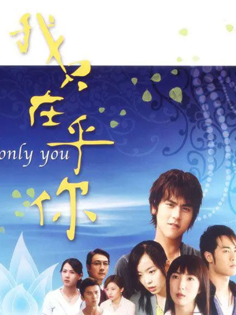 我只在乎你海报