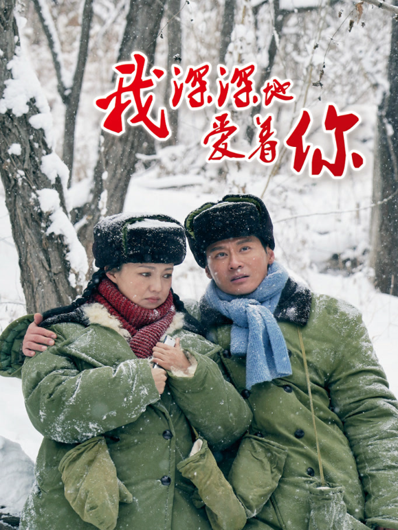 我深深地爱着你海报