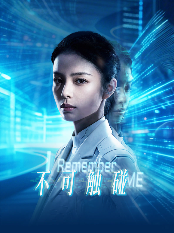 不可触碰海报