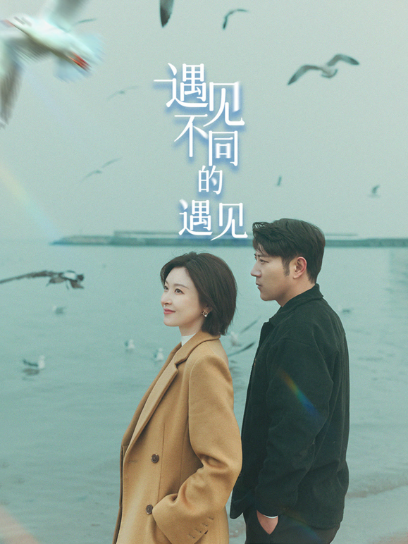 遇见不同的遇见海报