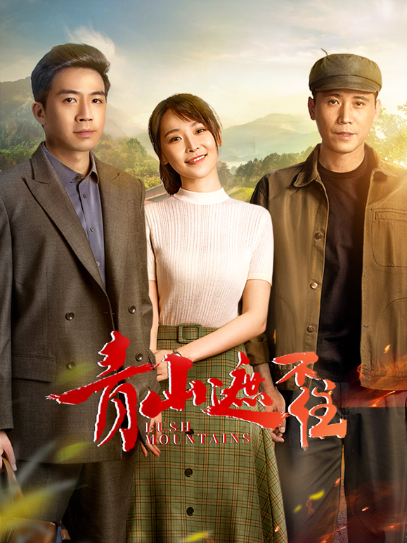 青山遮不住海报