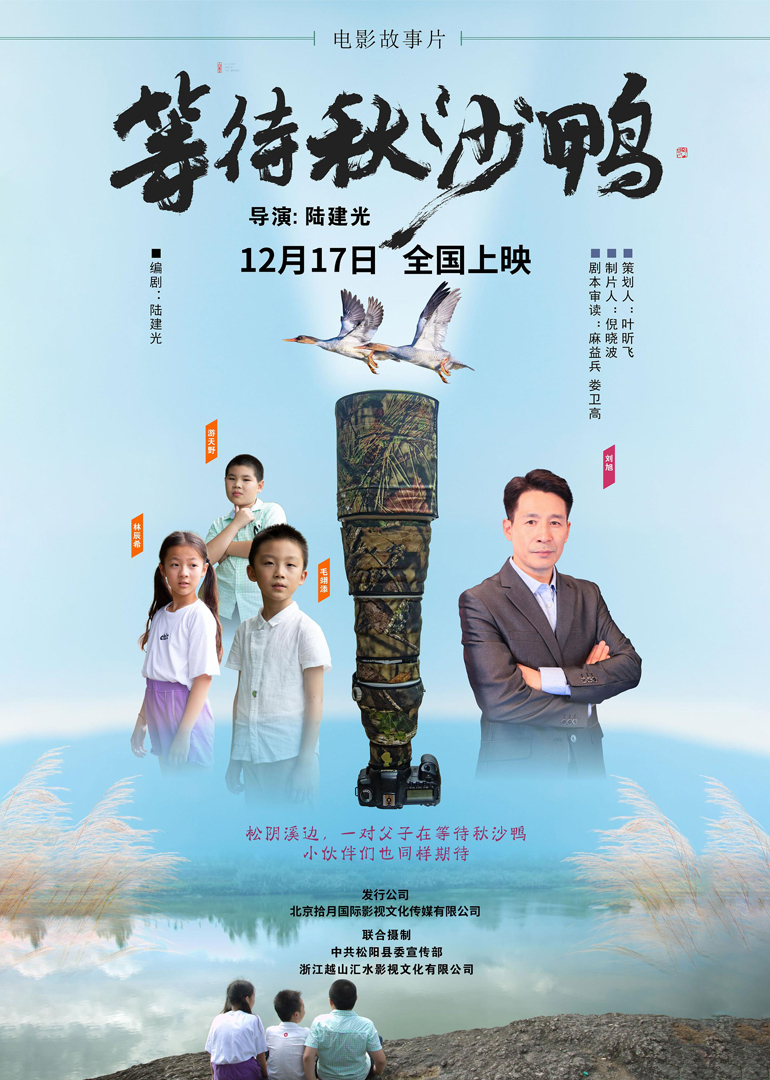 等待秋沙鸭海报