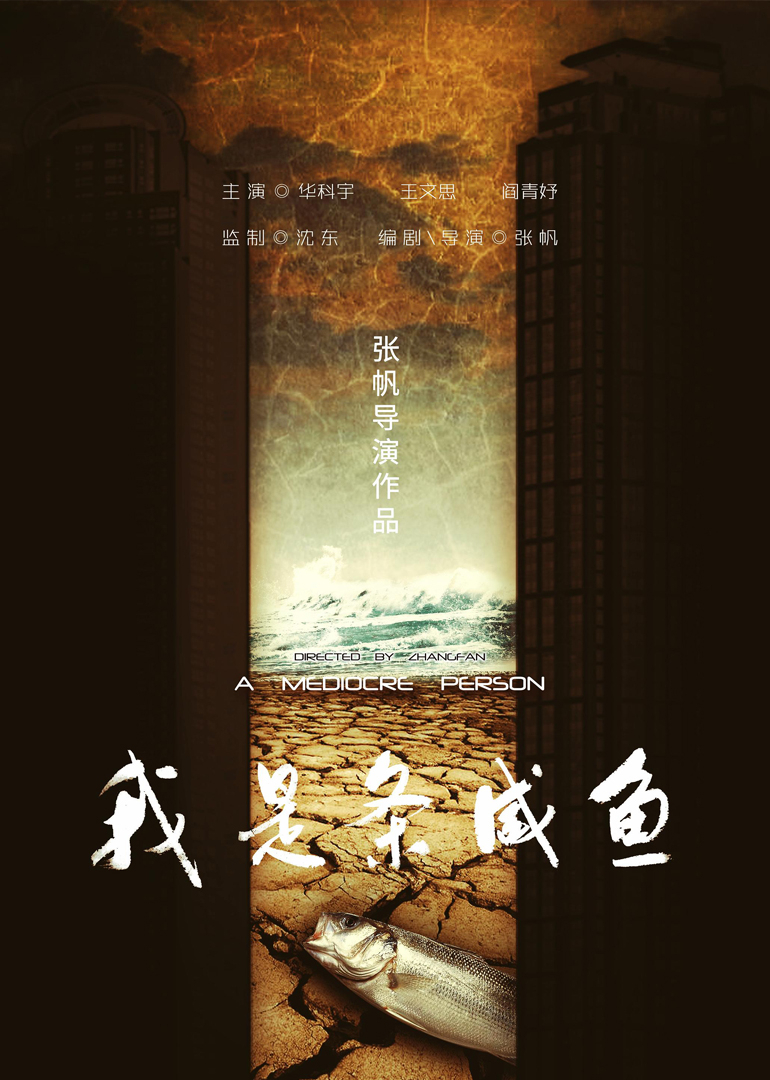 我是条咸鱼海报