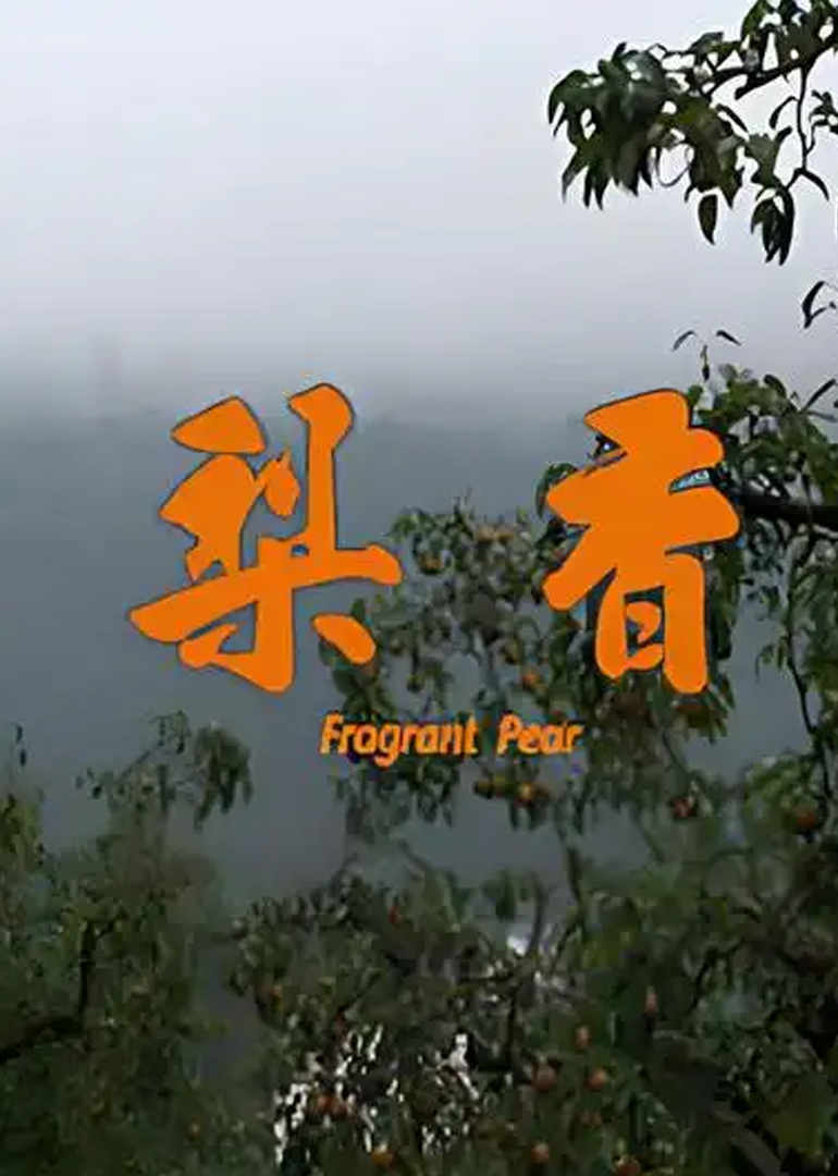 梨香海报