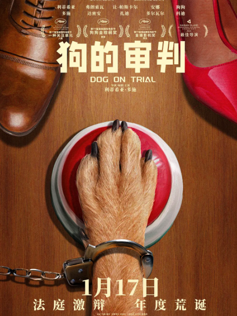 狗的审判海报