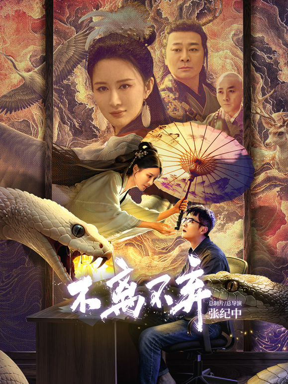 不离不弃海报