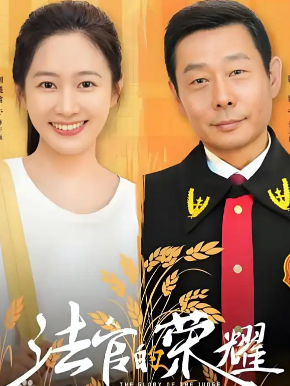 法官的荣耀海报