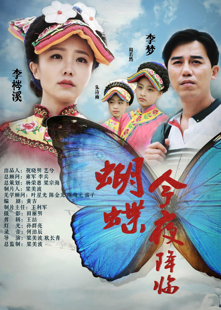 蝴蝶今夜降临海报