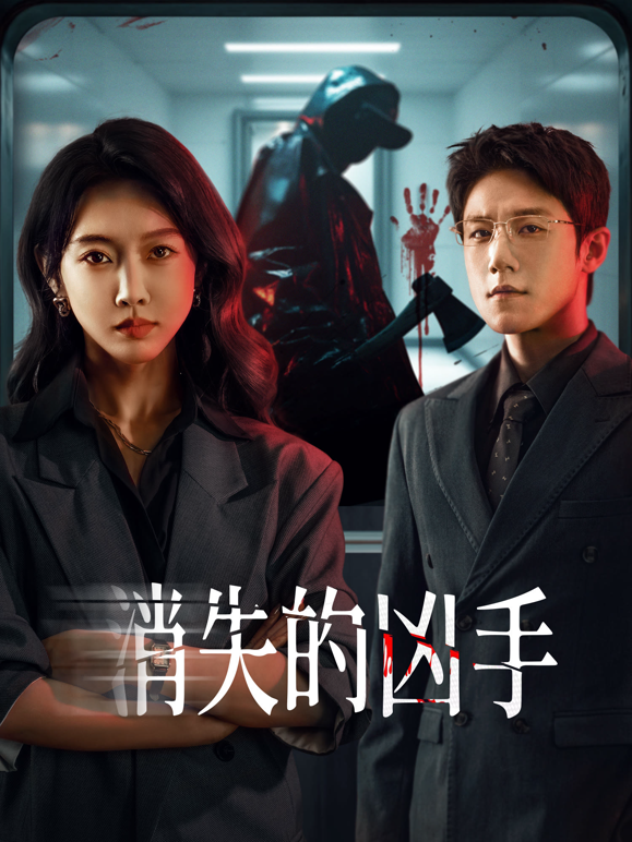 消失的凶手海报