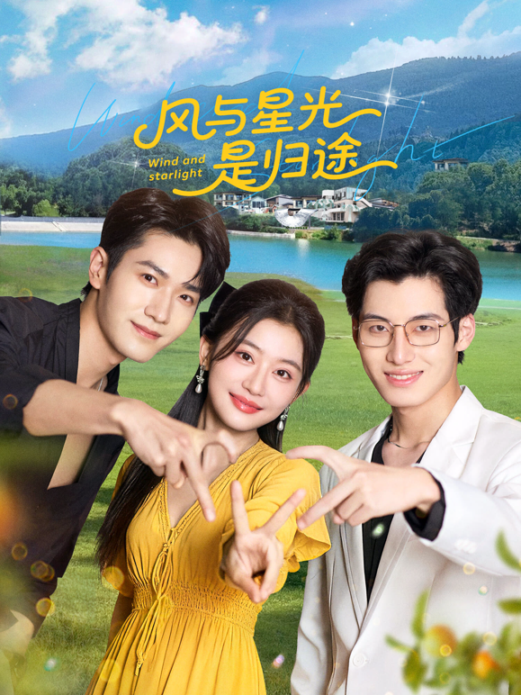 风与星光是归途海报