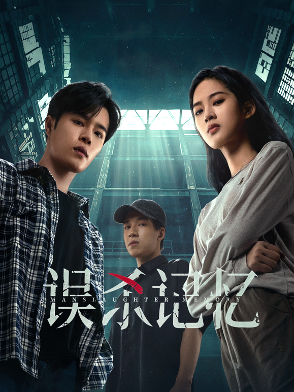 误杀记忆海报