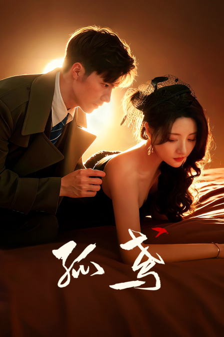 孤鸢