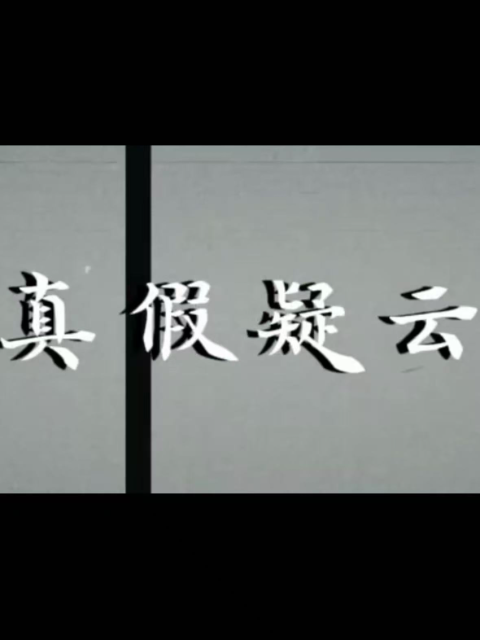 真假疑云海报