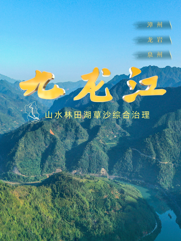 九龙江海报
