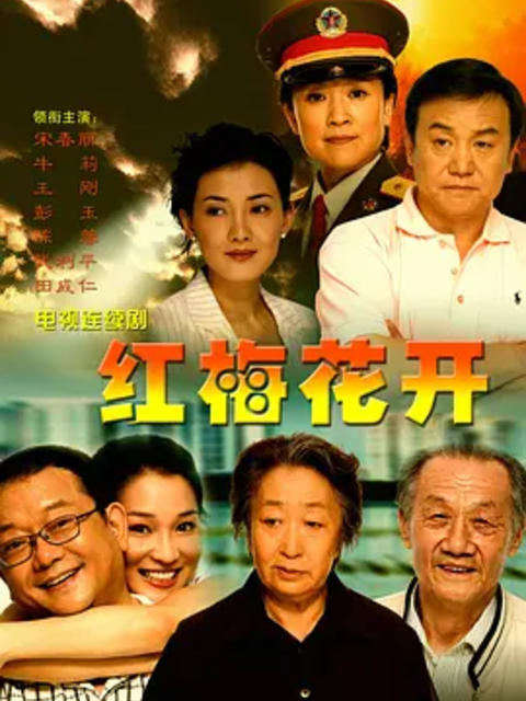 红梅花开海报