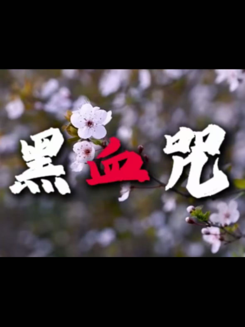 黑血咒海报