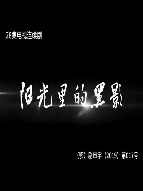 阳光里的黑影海报