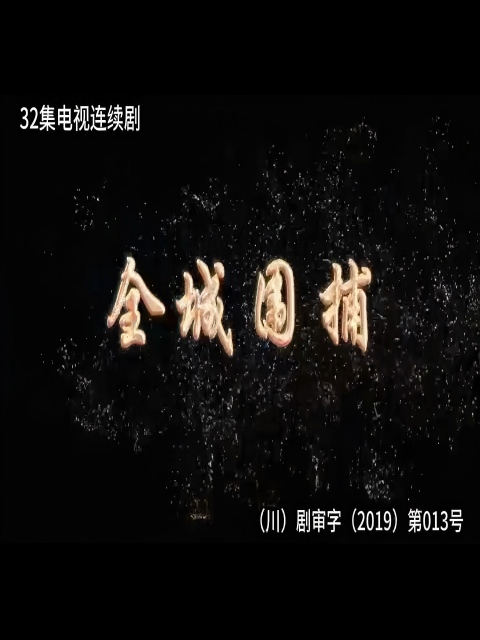 全城围捕海报