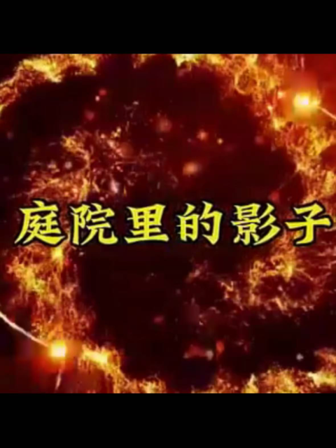 庭院里的影子海报