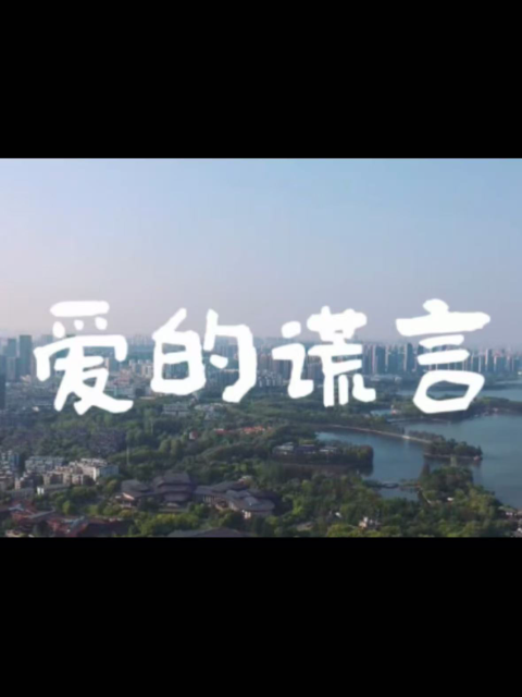 爱的谎言海报