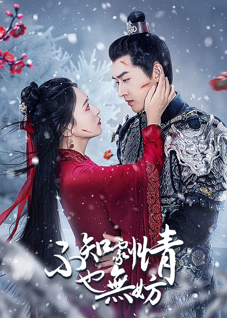 不知剧情也无妨海报