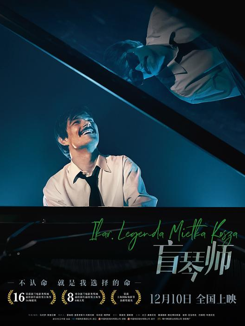 盲琴师海报