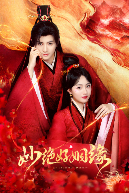 妙绝好姻缘海报