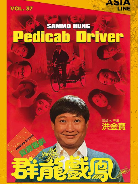 群龙戏凤海报