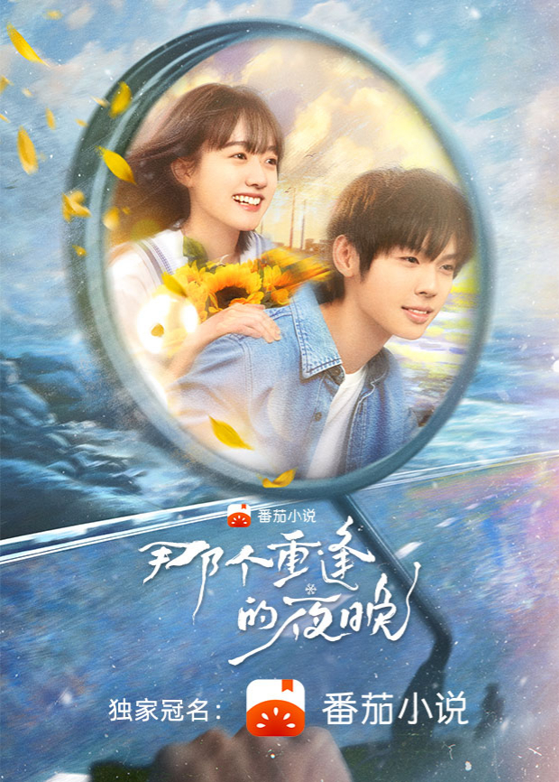 那个重逢的夜晚海报