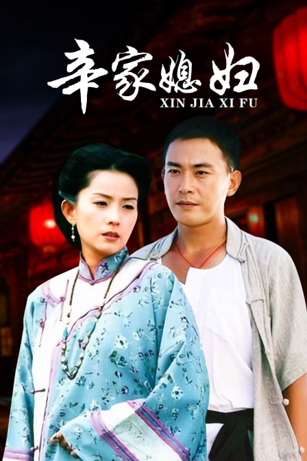 辛家媳妇海报
