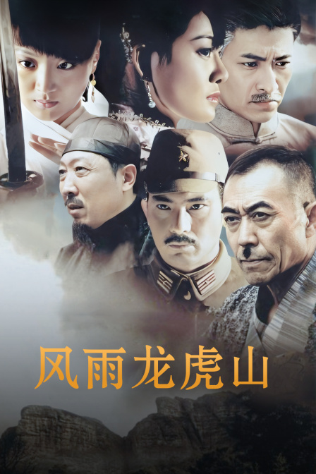 风雨龙虎山海报