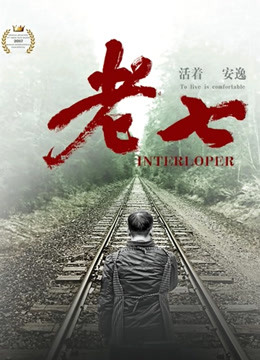老七海报