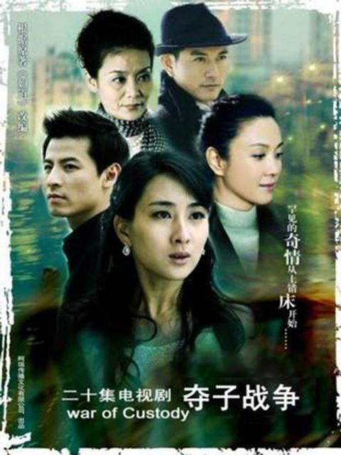 妇道之夺子战争海报