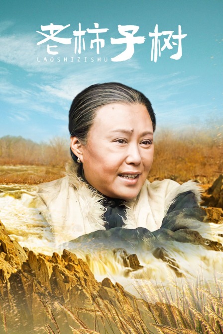老柿子树海报