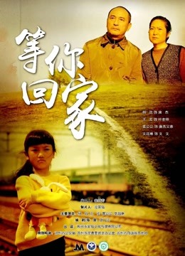 等你回家海报