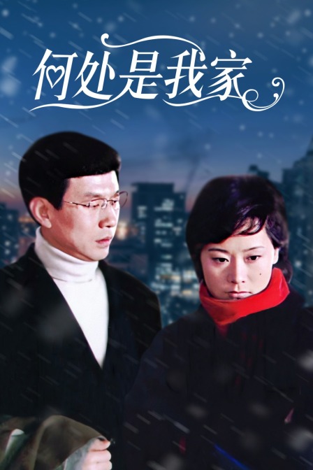 何处是我家海报