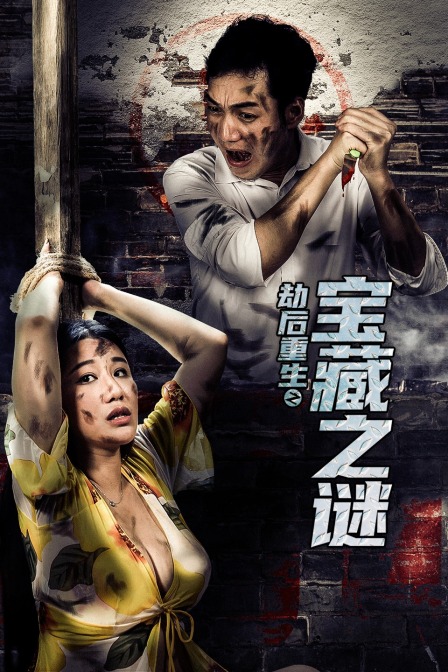 劫后重生之宝藏之谜海报