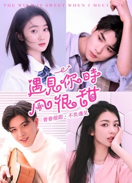遇见你时风很甜海报