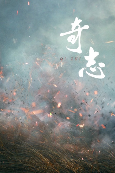奇志海报