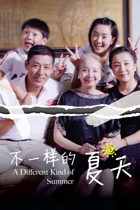 不一样的夏天海报