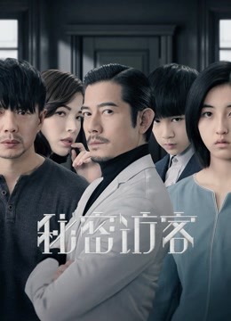 秘密访客海报