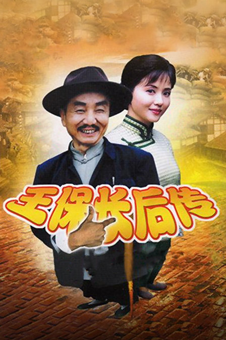 王保长后传海报