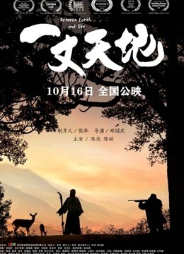 一丈天地海报