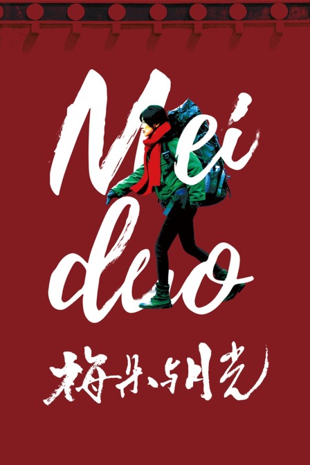 梅朵与月光海报