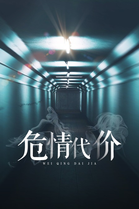 危情代价海报