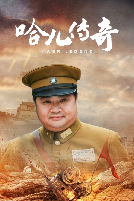 哈儿传奇海报