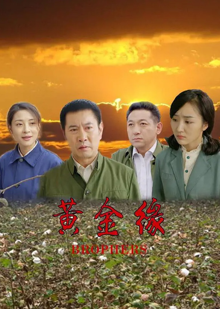 黄金缘海报